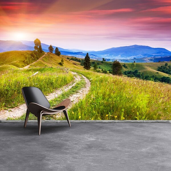 Carta da parati Colline fiorite 104x70 cm