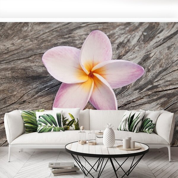 Carta da parati Legno frangipani 104x70 cm