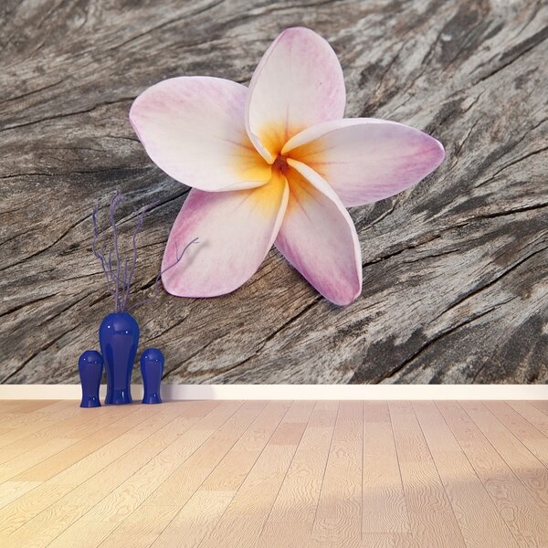 Carta da parati Legno frangipani 104x70 cm