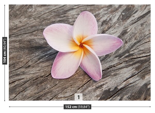 Carta da parati Legno frangipani 104x70 cm