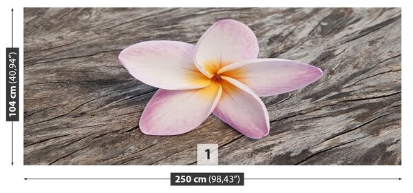 Carta da parati Legno frangipani 104x70 cm