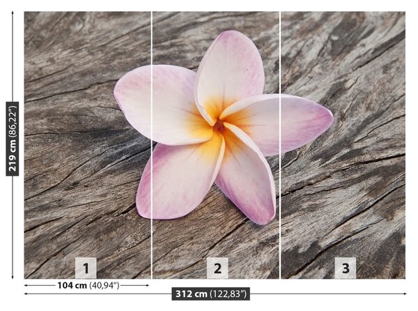 Carta da parati Legno frangipani 104x70 cm