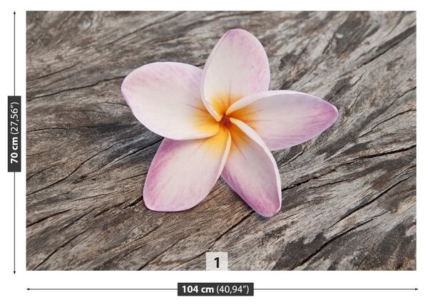 Carta da parati Legno frangipani 104x70 cm