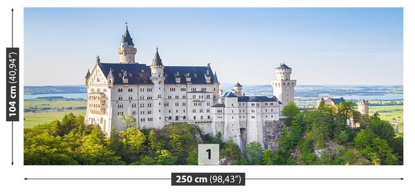 Carta da parati Neuschwanstein 104x70 cm