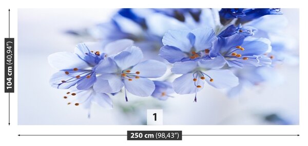 Carta da parati Fiori blu 104x70 cm