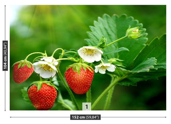 Carta da parati Fragola verde 104x70 cm