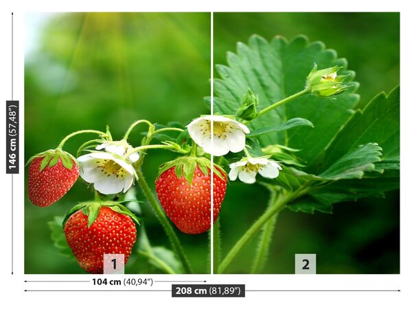 Carta da parati Fragola verde 104x70 cm