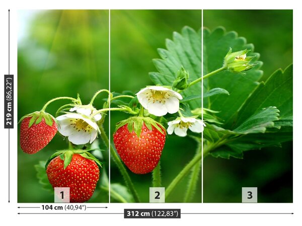 Carta da parati Fragola verde 104x70 cm