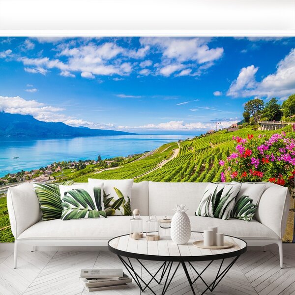Carta da parati Vineyards tarastri 104x70 cm