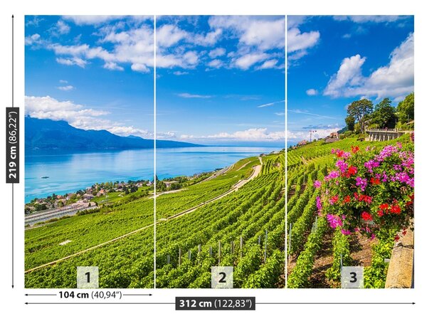 Carta da parati Vineyards tarastri 104x70 cm