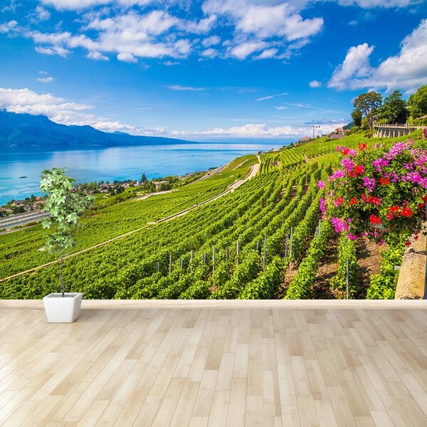Carta da parati Vineyards tarastri 104x70 cm