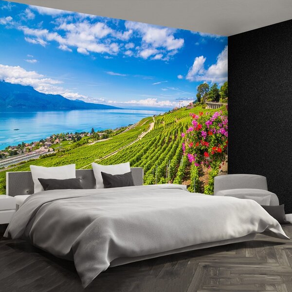 Carta da parati Vineyards tarastri 104x70 cm