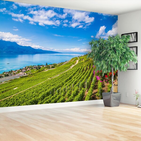 Carta da parati Vineyards tarastri 104x70 cm