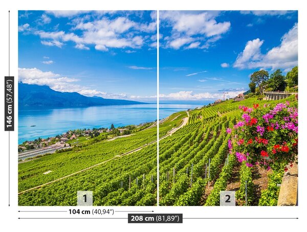 Carta da parati Vineyards tarastri 104x70 cm