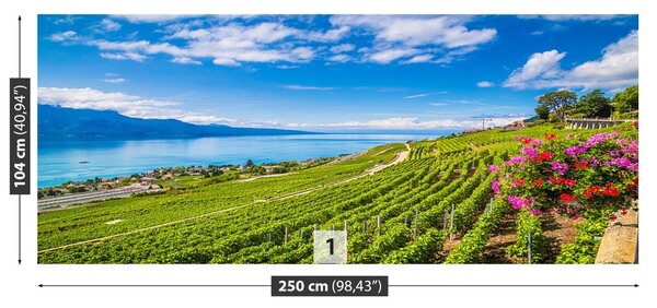 Carta da parati Vineyards tarastri 104x70 cm