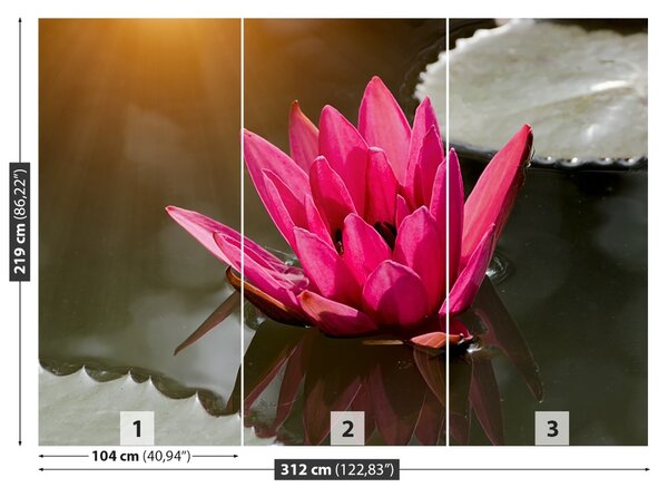 Carta da parati Lily di acqua rosa 104x70 cm