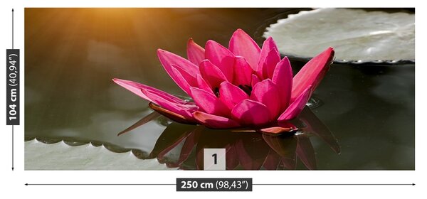 Carta da parati Lily di acqua rosa 104x70 cm
