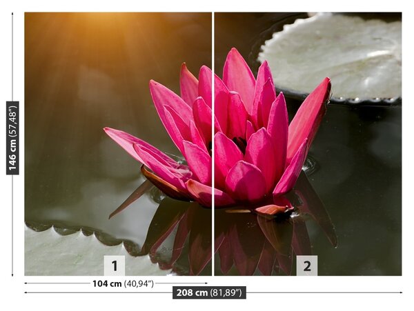 Carta da parati Lily di acqua rosa 104x70 cm