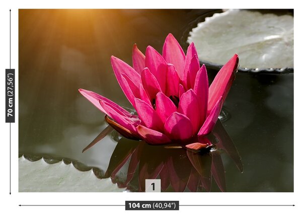 Carta da parati Lily di acqua rosa 104x70 cm