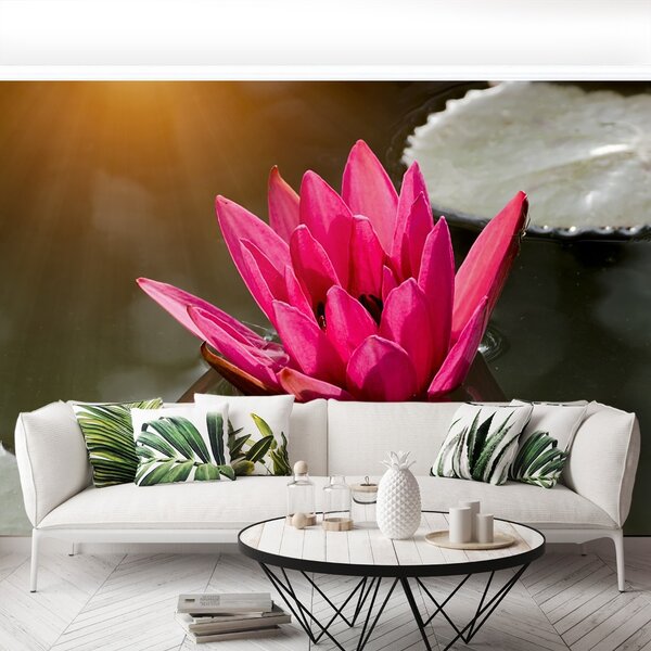 Carta da parati Lily di acqua rosa 104x70 cm