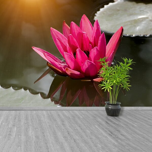 Carta da parati Lily di acqua rosa 104x70 cm