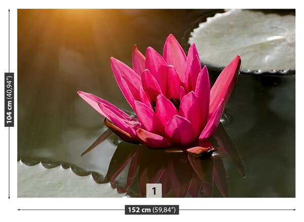 Carta da parati Lily di acqua rosa 104x70 cm