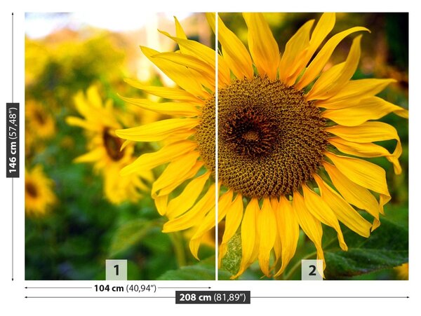 Carta da parati Girasoli gialli 104x70 cm