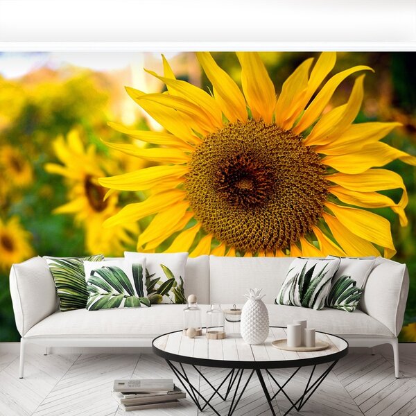 Carta da parati Girasoli gialli 104x70 cm