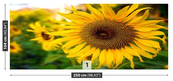 Carta da parati Girasoli gialli 104x70 cm