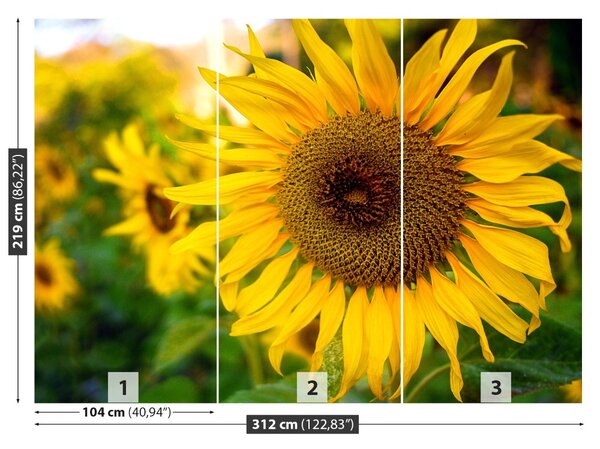 Carta da parati Girasoli gialli 104x70 cm