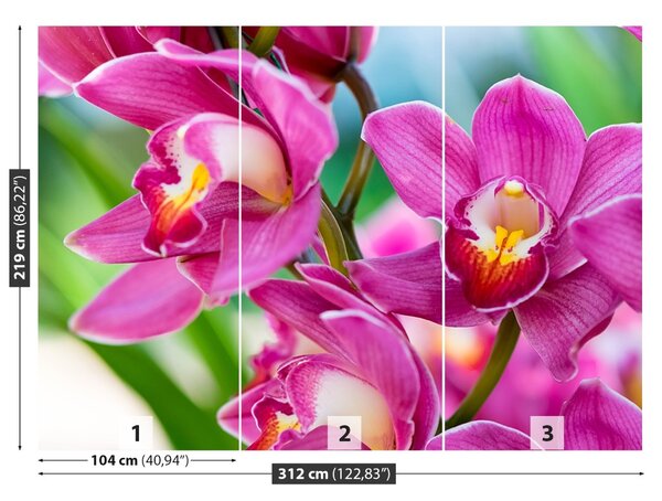 Carta da parati Orchidee rosa 104x70 cm