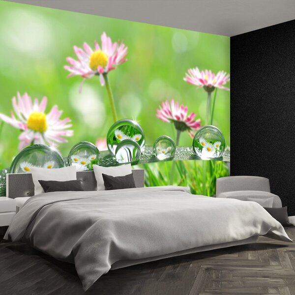 Carta da parati Green Stokrotki 104x70 cm