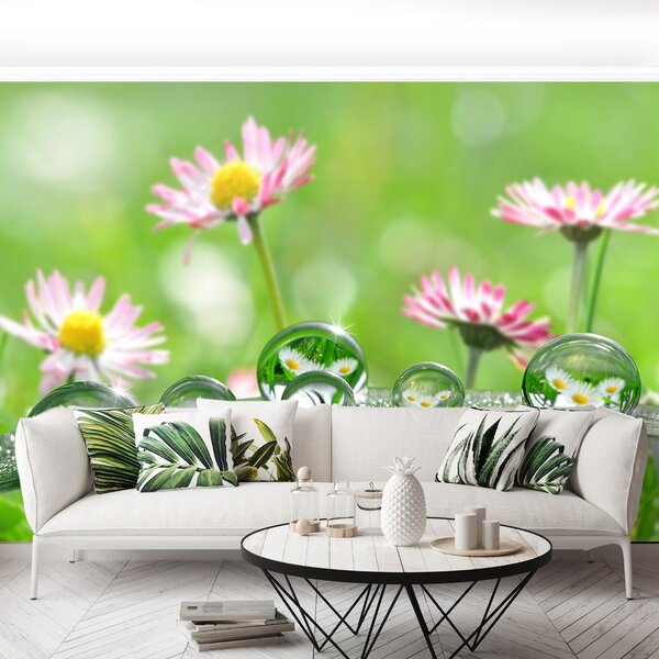 Carta da parati Green Stokrotki 104x70 cm