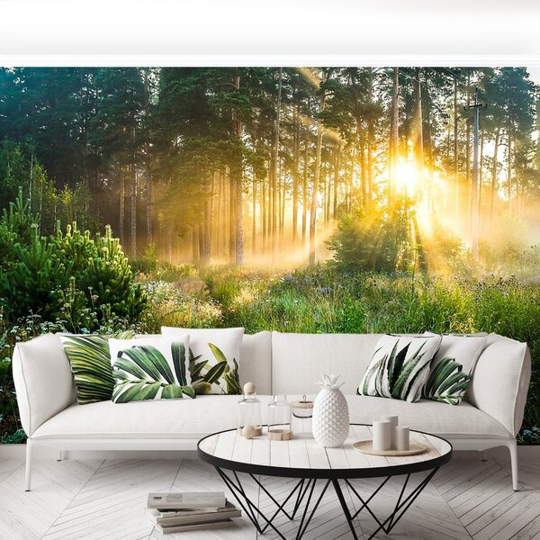 Carta da parati Foresta 104x70 cm