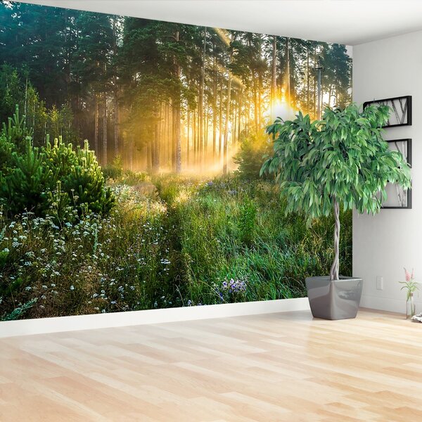 Carta da parati Foresta 104x70 cm