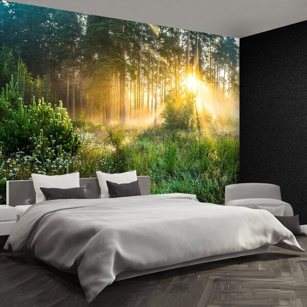 Carta da parati Foresta 104x70 cm