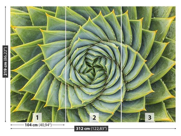 Carta da parati Simmetria dell'aloe 104x70 cm