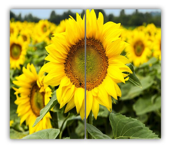 Tagliere in vetro Campo di girasole 60x52 cm