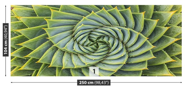Carta da parati Simmetria dell'aloe 104x70 cm