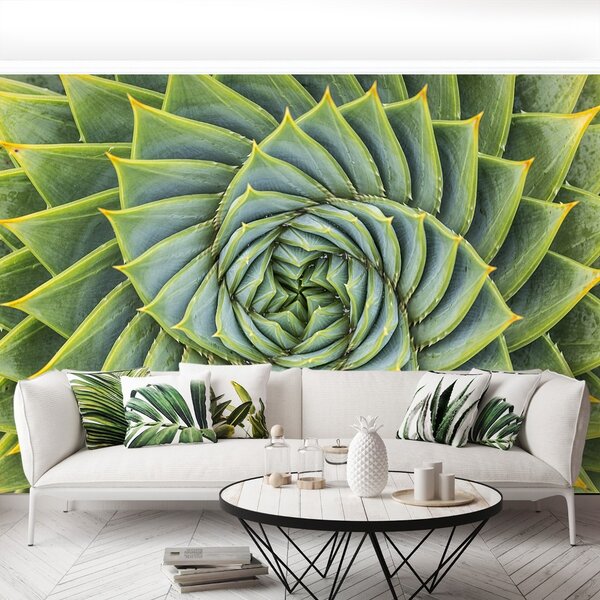 Carta da parati Simmetria dell'aloe 104x70 cm