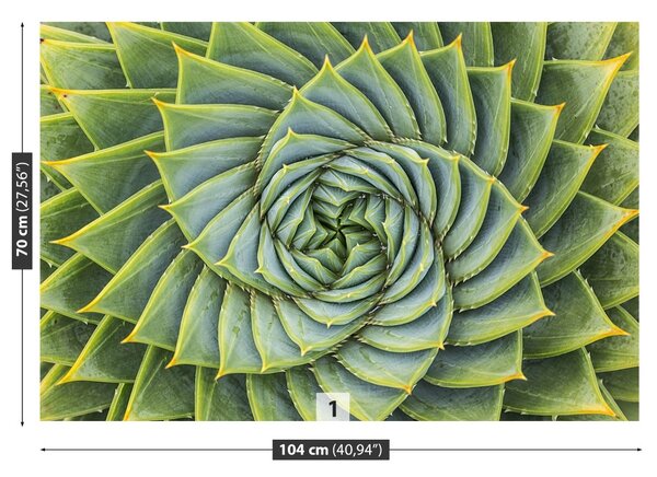 Carta da parati Simmetria dell'aloe 104x70 cm