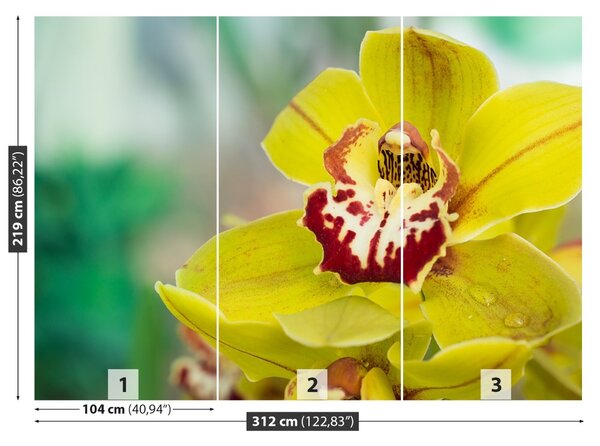 Carta da parati Orchidea gialla 104x70 cm