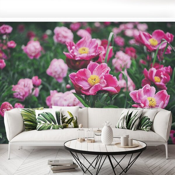 Carta da parati Peonie rosa 104x70 cm