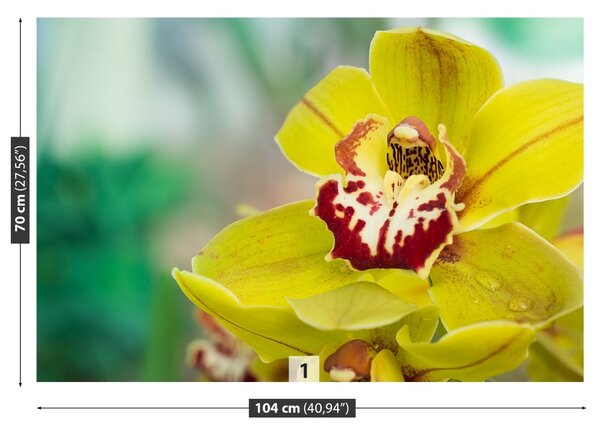 Carta da parati Orchidea gialla 104x70 cm