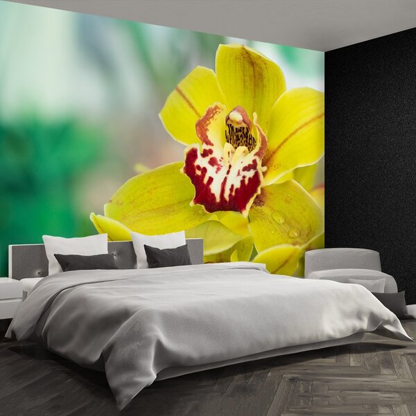 Carta da parati Orchidea gialla 104x70 cm