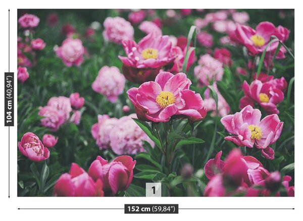 Carta da parati Peonie rosa 104x70 cm