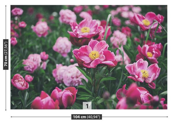 Carta da parati Peonie rosa 104x70 cm
