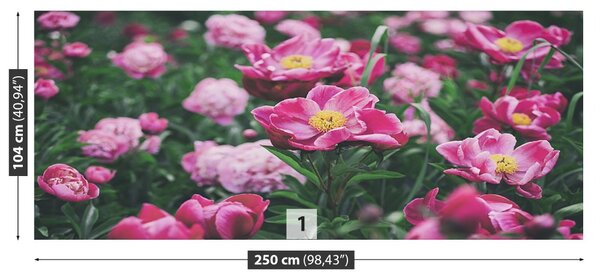 Carta da parati Peonie rosa 104x70 cm
