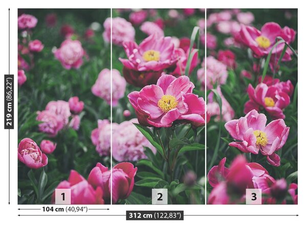 Carta da parati Peonie rosa 104x70 cm