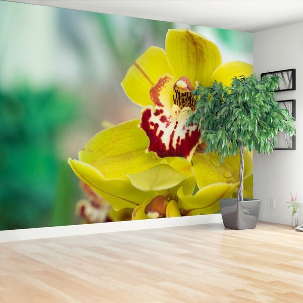 Carta da parati Orchidea gialla 104x70 cm